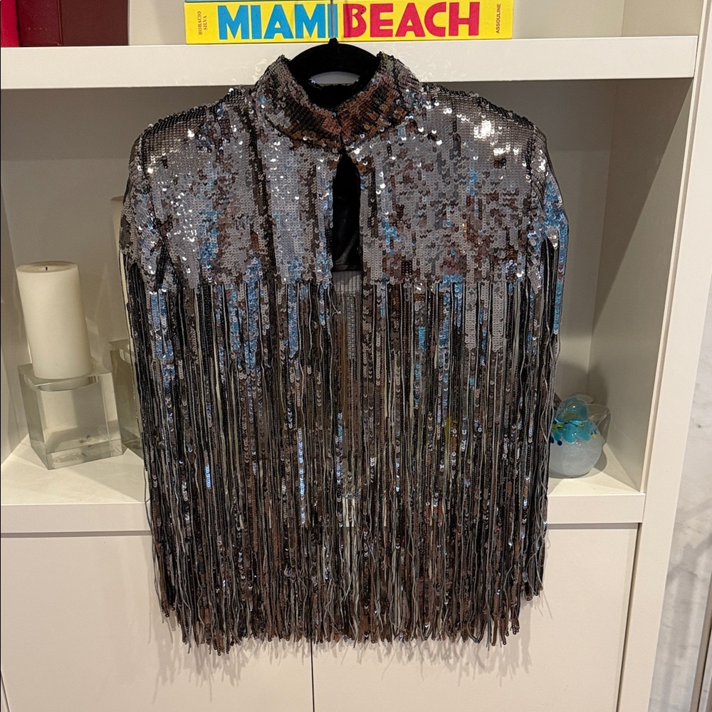 Zara Metallic Sequin Fringe Blouse